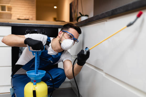 Best Pest Control Near Me  in Middlebury, IN