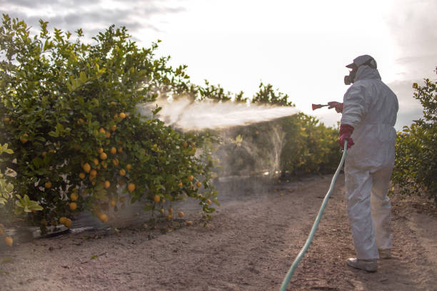 Best Best Pest Control Near Me  in Middlebury, IN