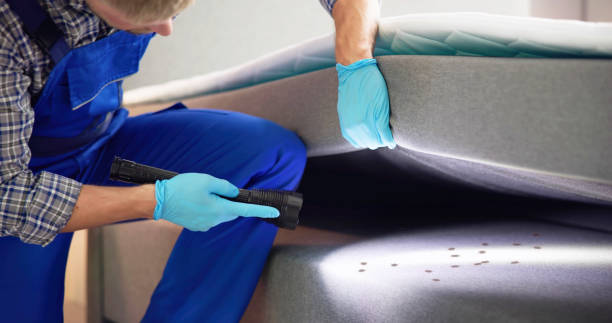 Best Affordable Pest Control Services  in Middlebury, IN