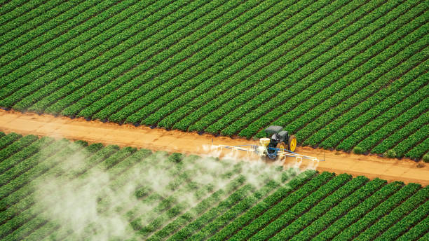 Best Pest Removal Services  in Middlebury, IN