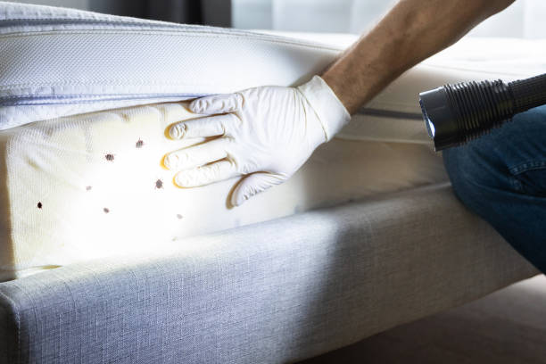 Professional Pest Control in Middlebury, IN