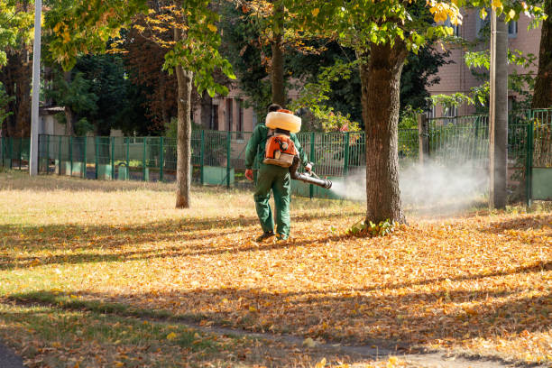 Best Wasp Removal Services  in Middlebury, IN