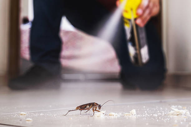 Best Mosquito Control Services  in Middlebury, IN